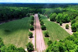1970 Cross Swamp Road photo 4