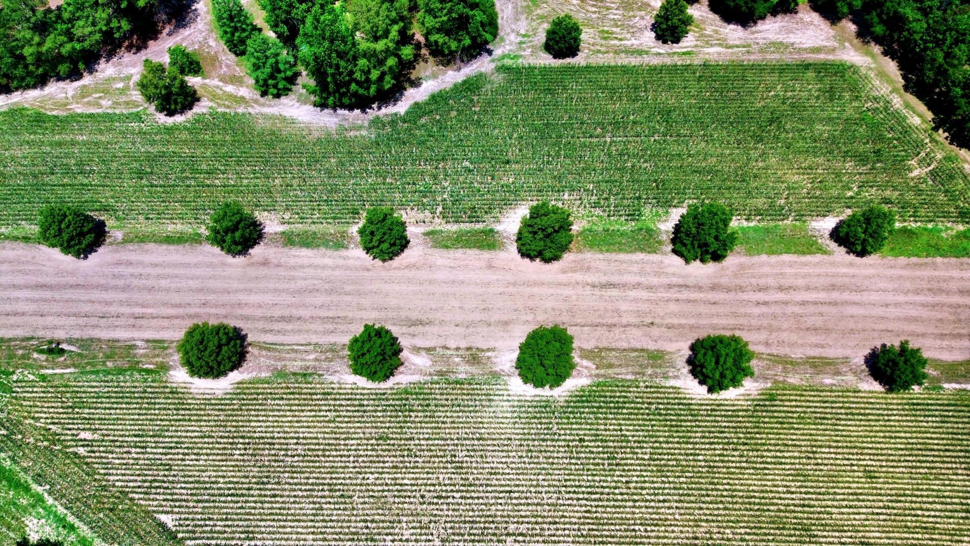 1970 Cross Swamp Road Photo 4