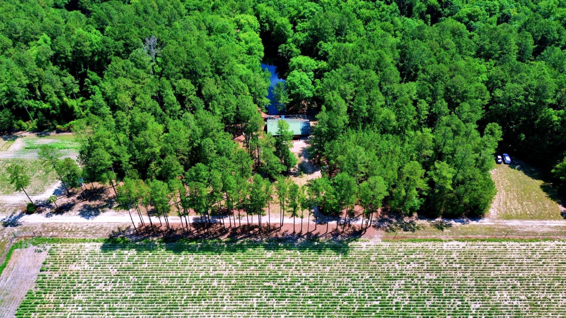 1970 Cross Swamp Road Photo 5