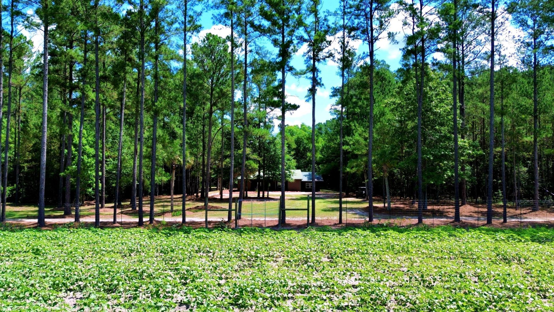 1970 Cross Swamp Road Photo 54