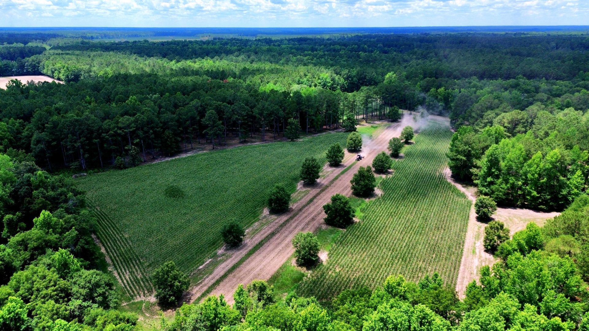 1970 Cross Swamp Road Photo 75