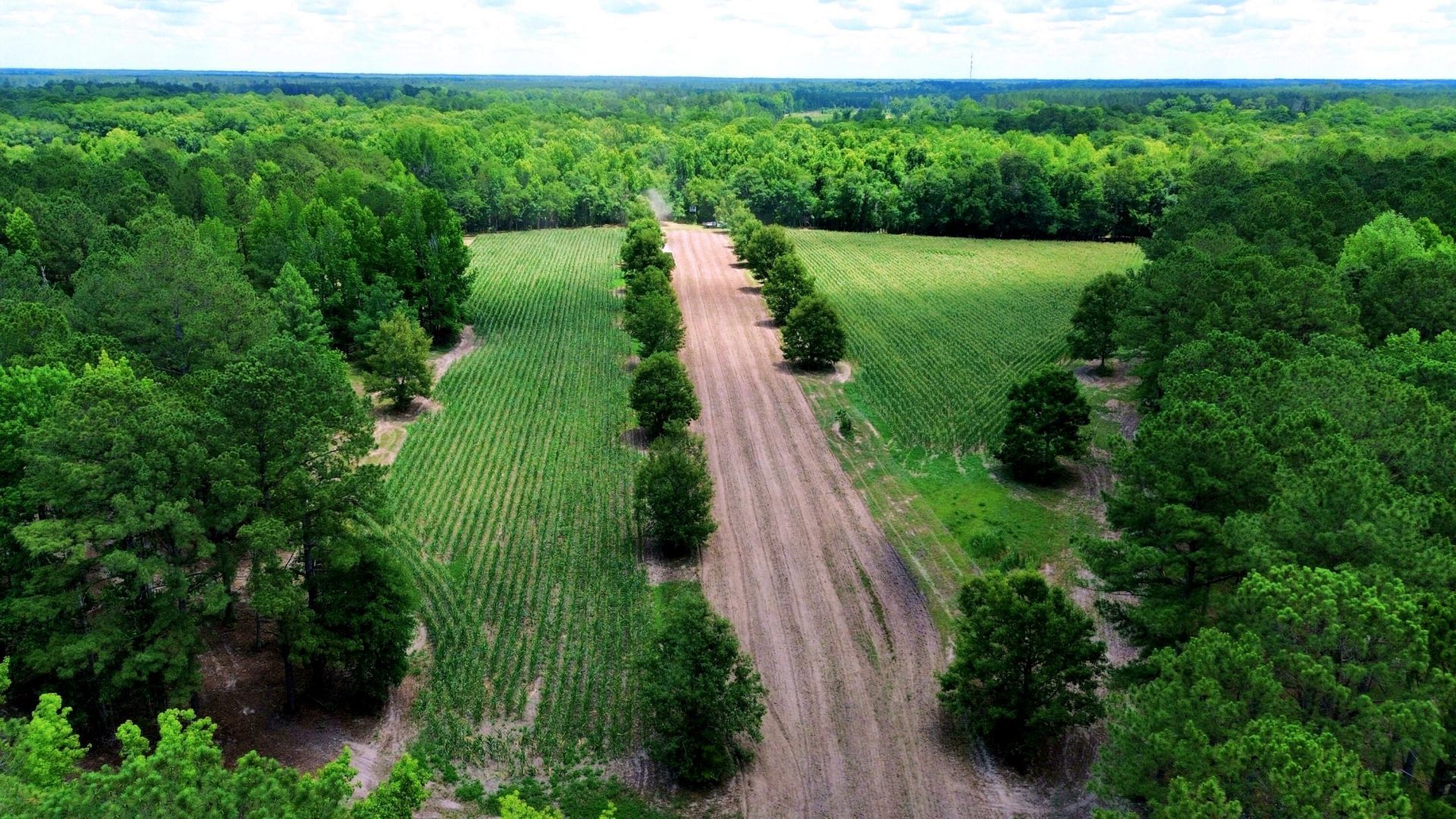 1970 Cross Swamp Road Photo 78