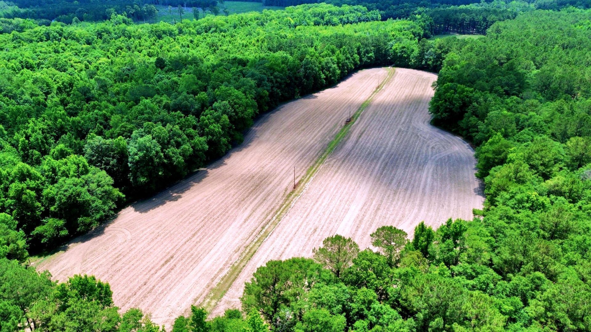 1970 Cross Swamp Road Photo 81