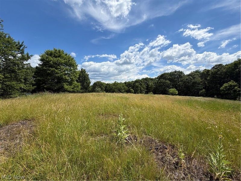 15441 Johnson Road, Lisbon, OH 44432 Photo 10