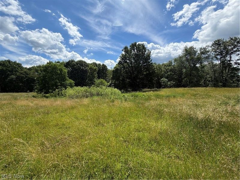 15441 Johnson Road, Lisbon, OH 44432 Photo 12
