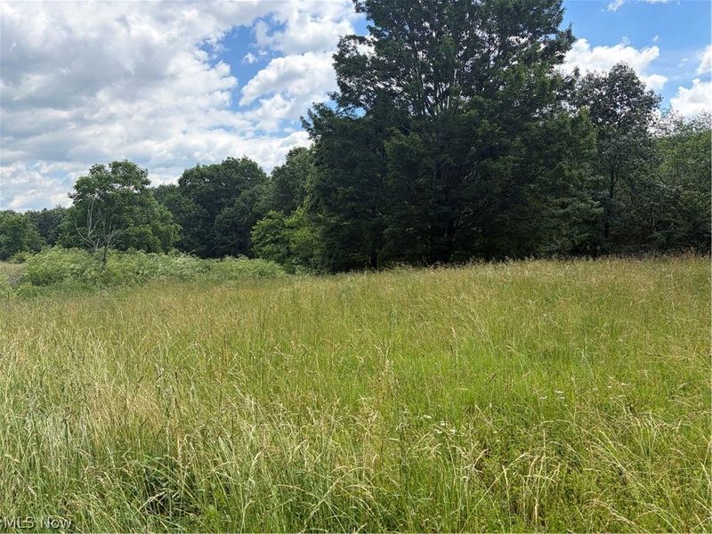 15441 Johnson Road, Lisbon, OH 44432 Photo 13