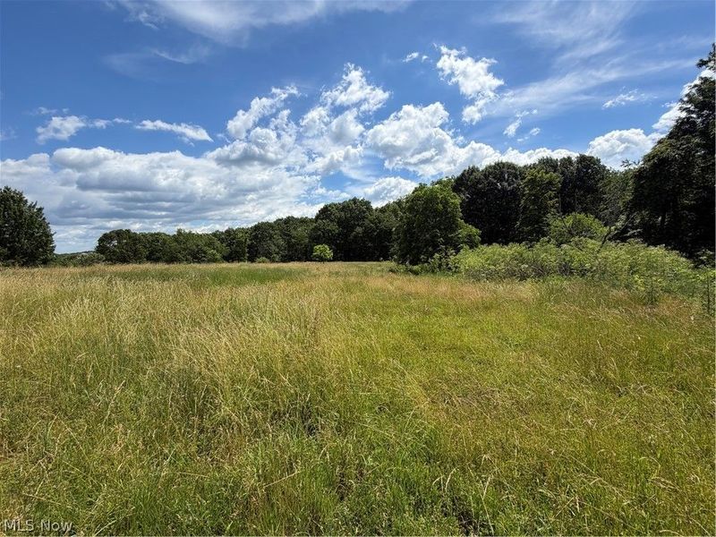 15441 Johnson Road, Lisbon, OH 44432 Photo 14