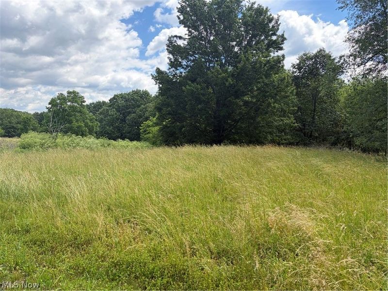 15441 Johnson Road, Lisbon, OH 44432 Photo 6