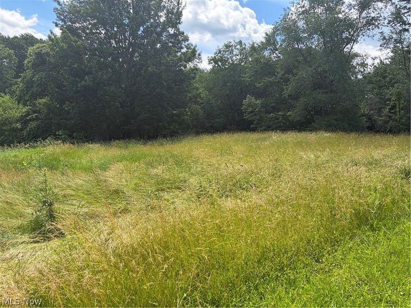 15441 Johnson Road, Lisbon, OH 44432 Photo 7
