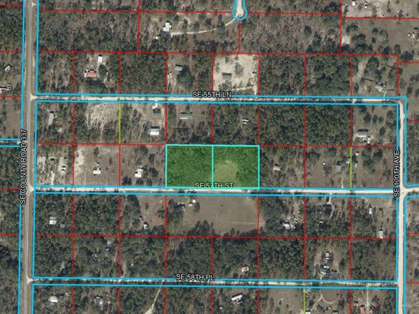 11751 SE 57TH STREET, MORRISTON, FL 32668