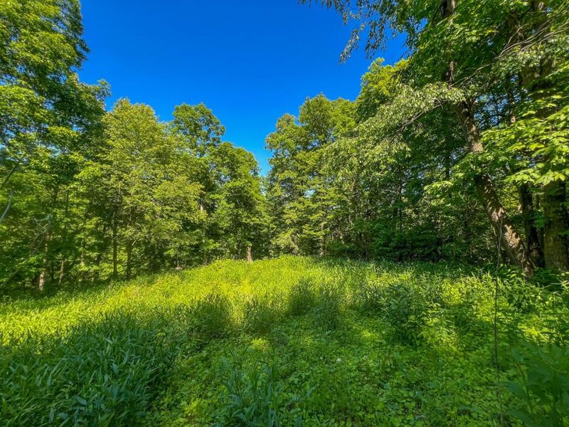 0 Rush Run Road , Rayland, OH 43943 Photo 10