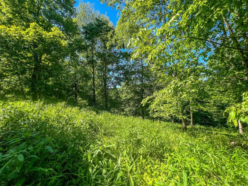 0 Rush Run Road , Rayland, OH 43943 Photo 11