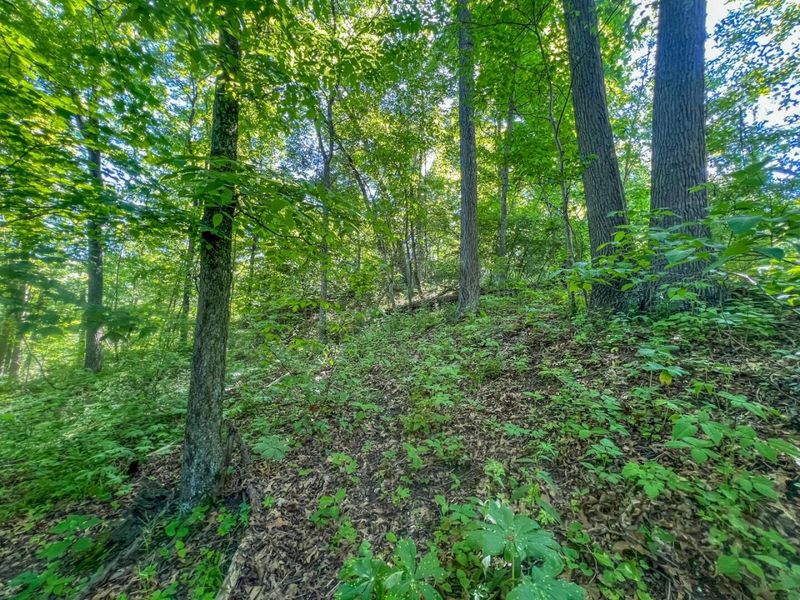 0 Rush Run Road , Rayland, OH 43943 Photo 12