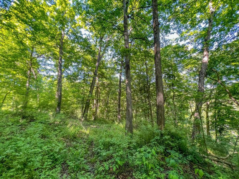 0 Rush Run Road , Rayland, OH 43943 Photo 13