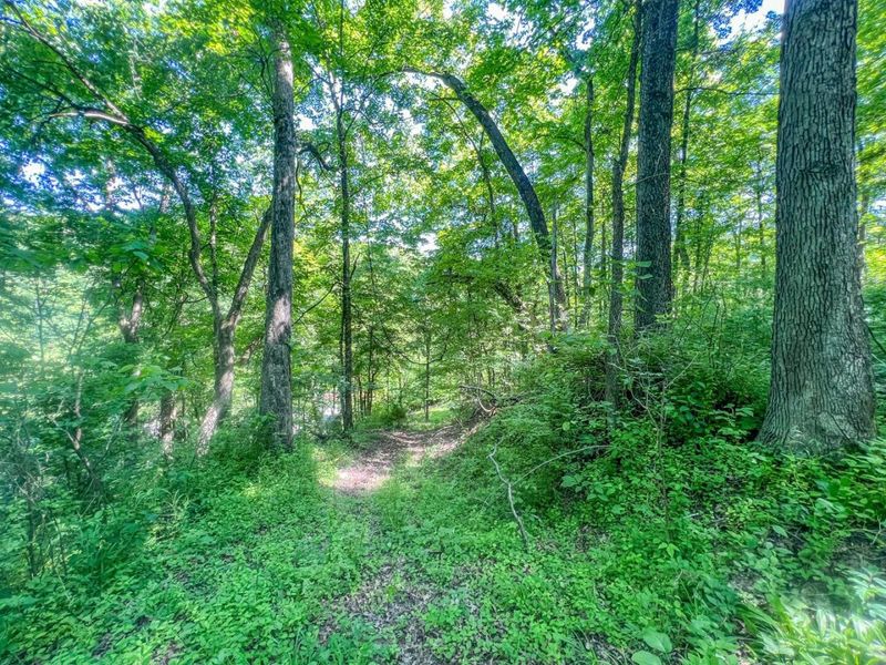 0 Rush Run Road , Rayland, OH 43943 Photo 15