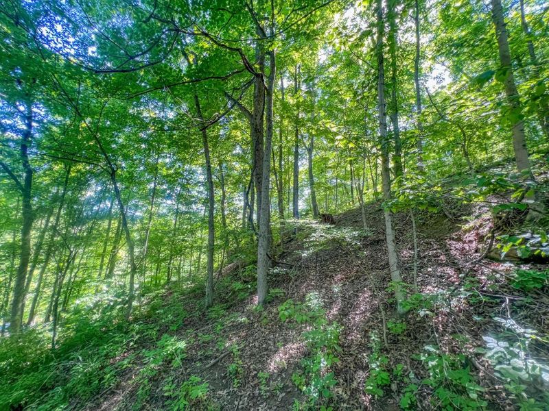 0 Rush Run Road , Rayland, OH 43943 Photo 16