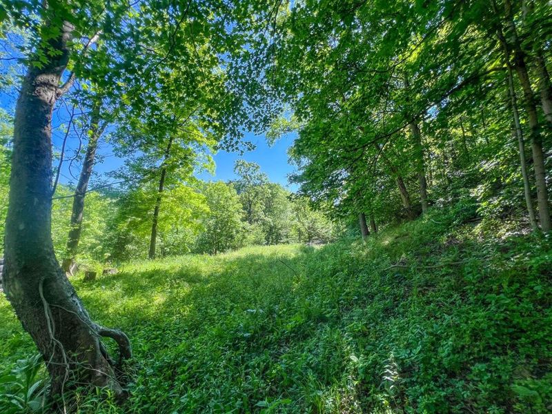 0 Rush Run Road , Rayland, OH 43943 Photo 17