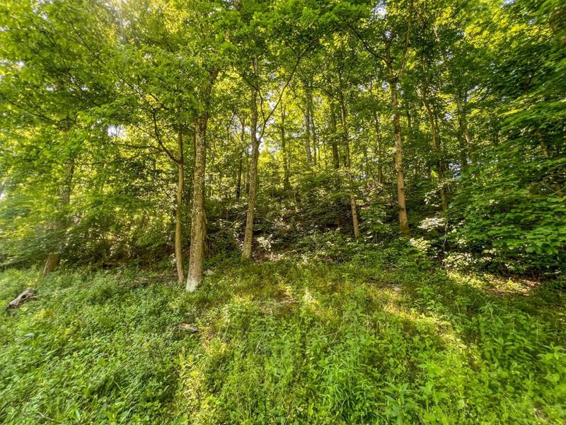 0 Rush Run Road , Rayland, OH 43943 Photo 18