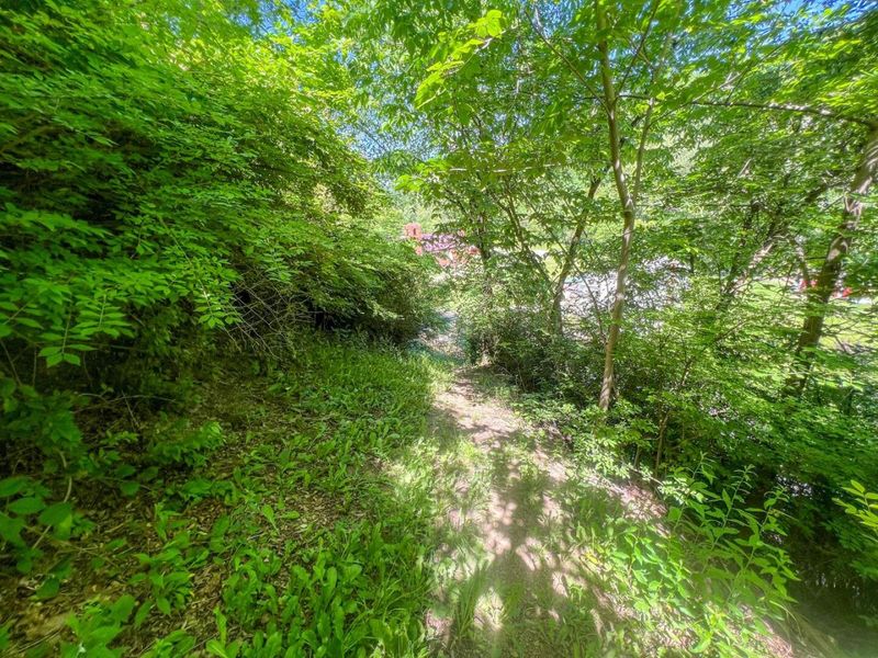 0 Rush Run Road , Rayland, OH 43943 Photo 21