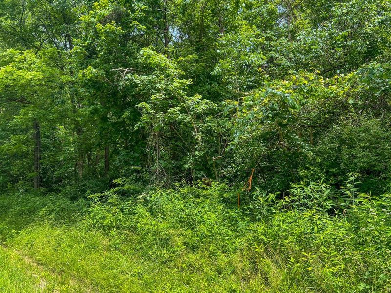 0 Rush Run Road , Rayland, OH 43943 Photo 23