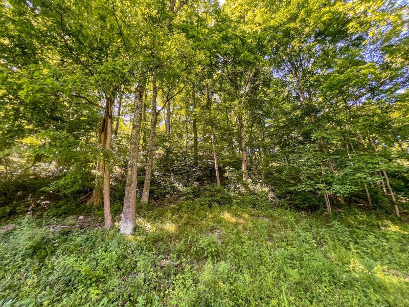 0 Rush Run Road , Rayland, OH 43943 Photo 3
