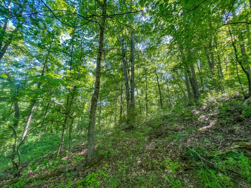 0 Rush Run Road , Rayland, OH 43943 Photo 6