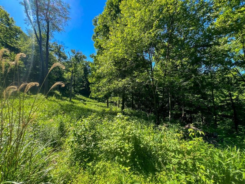 0 Rush Run Road , Rayland, OH 43943 Photo 7