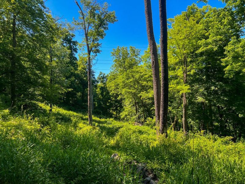0 Rush Run Road , Rayland, OH 43943 Photo 8