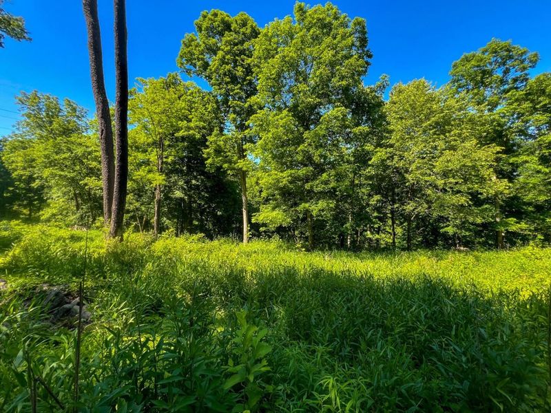 0 Rush Run Road , Rayland, OH 43943 Photo 9