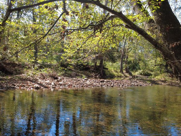 0000 Potts Creek RD, Covington, VA 24426