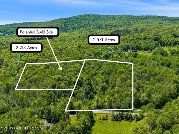 Lots 8, 11 Henry Williams Road, Roxbury, NY 12474