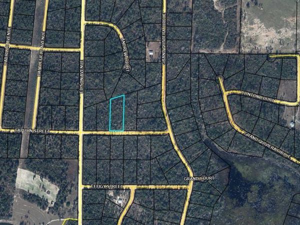 000 Capulin Street , Marianna, FL 32448