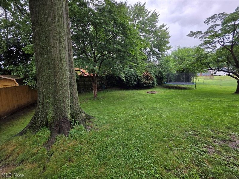 1341 Benton Street, Barberton, OH 44203 Photo 22