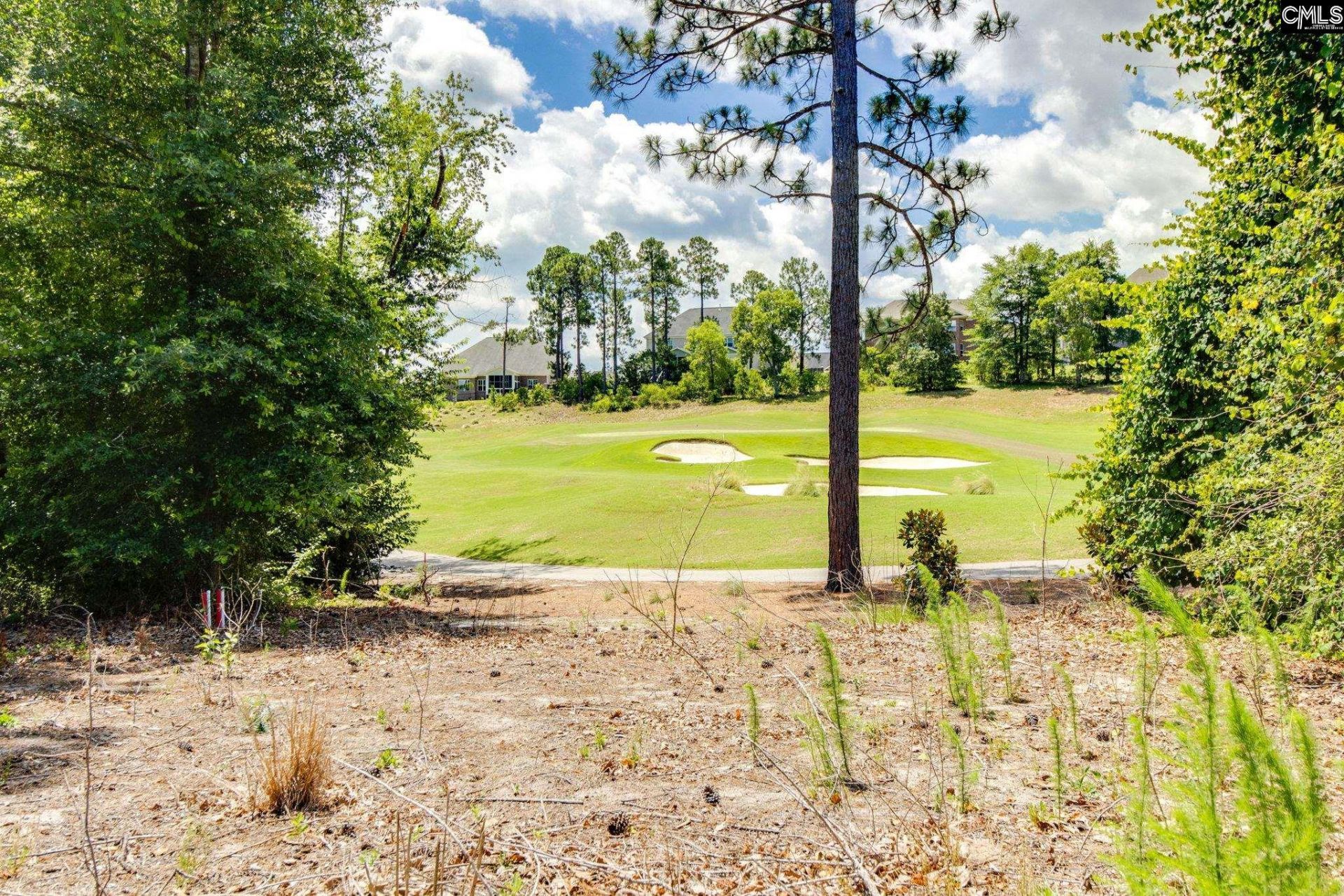 166 Backspin Drive Photo 29
