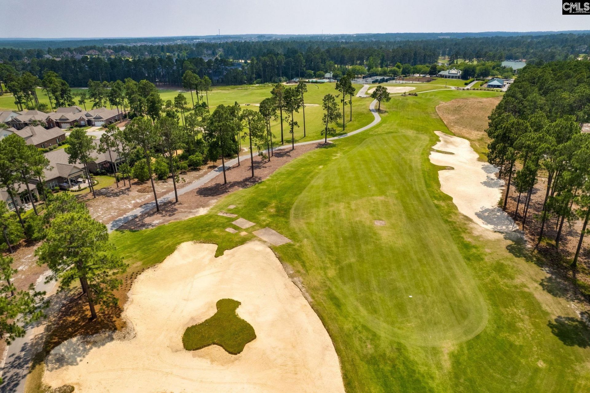 166 Backspin Drive Photo 41