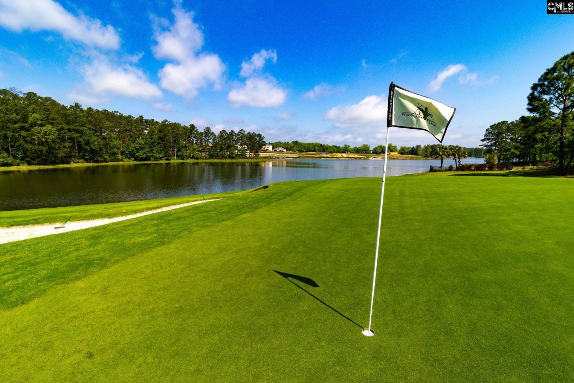 166 Backspin Drive Photo 55