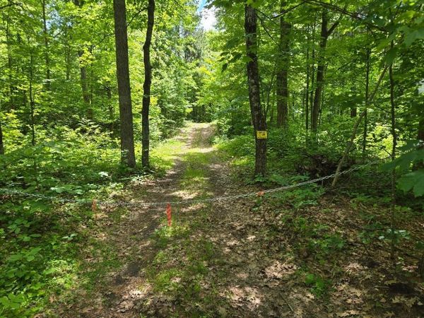TBD FS2564D , Remer, MN 56672