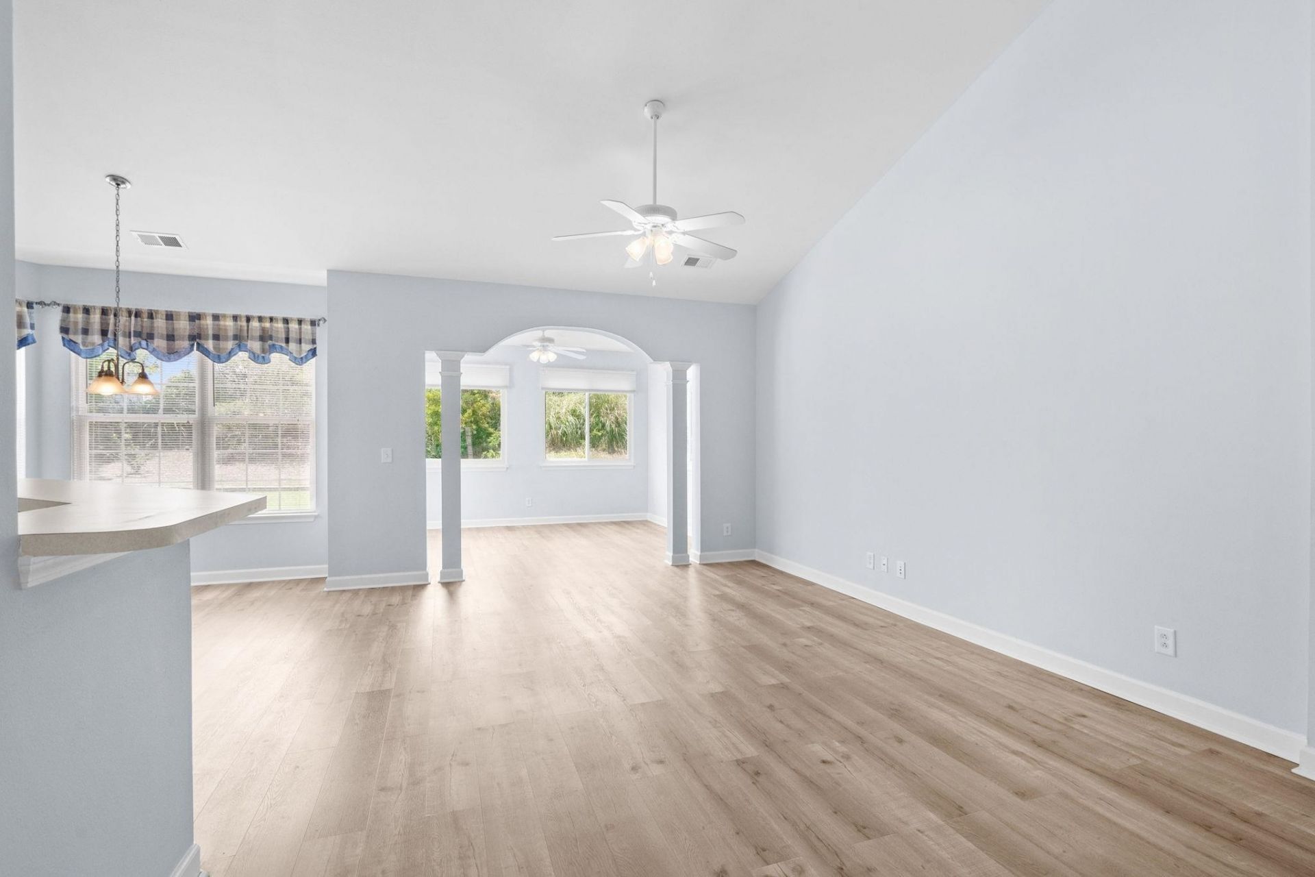732 Gazania Ln.  Photo 11