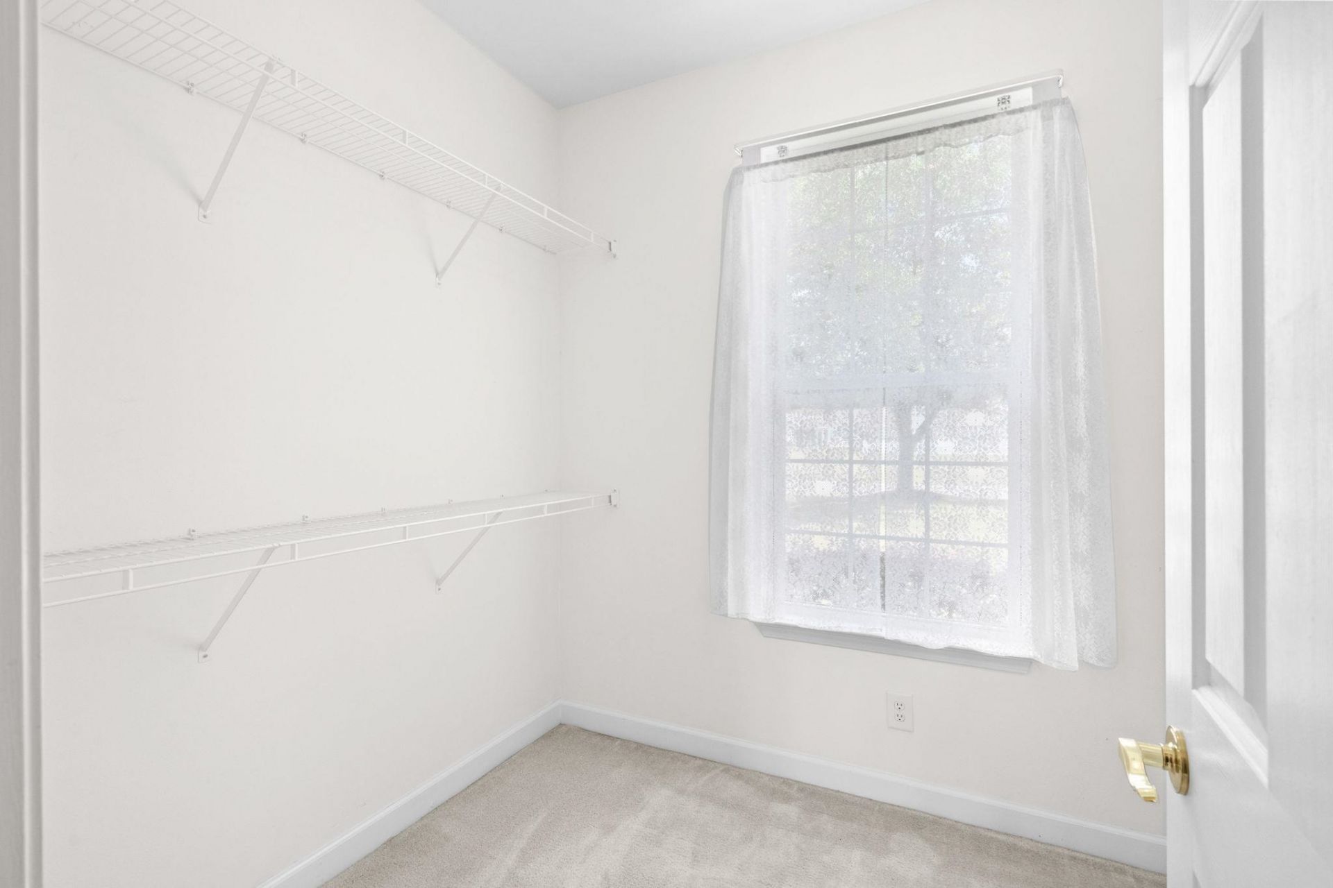 732 Gazania Ln.  Photo 38