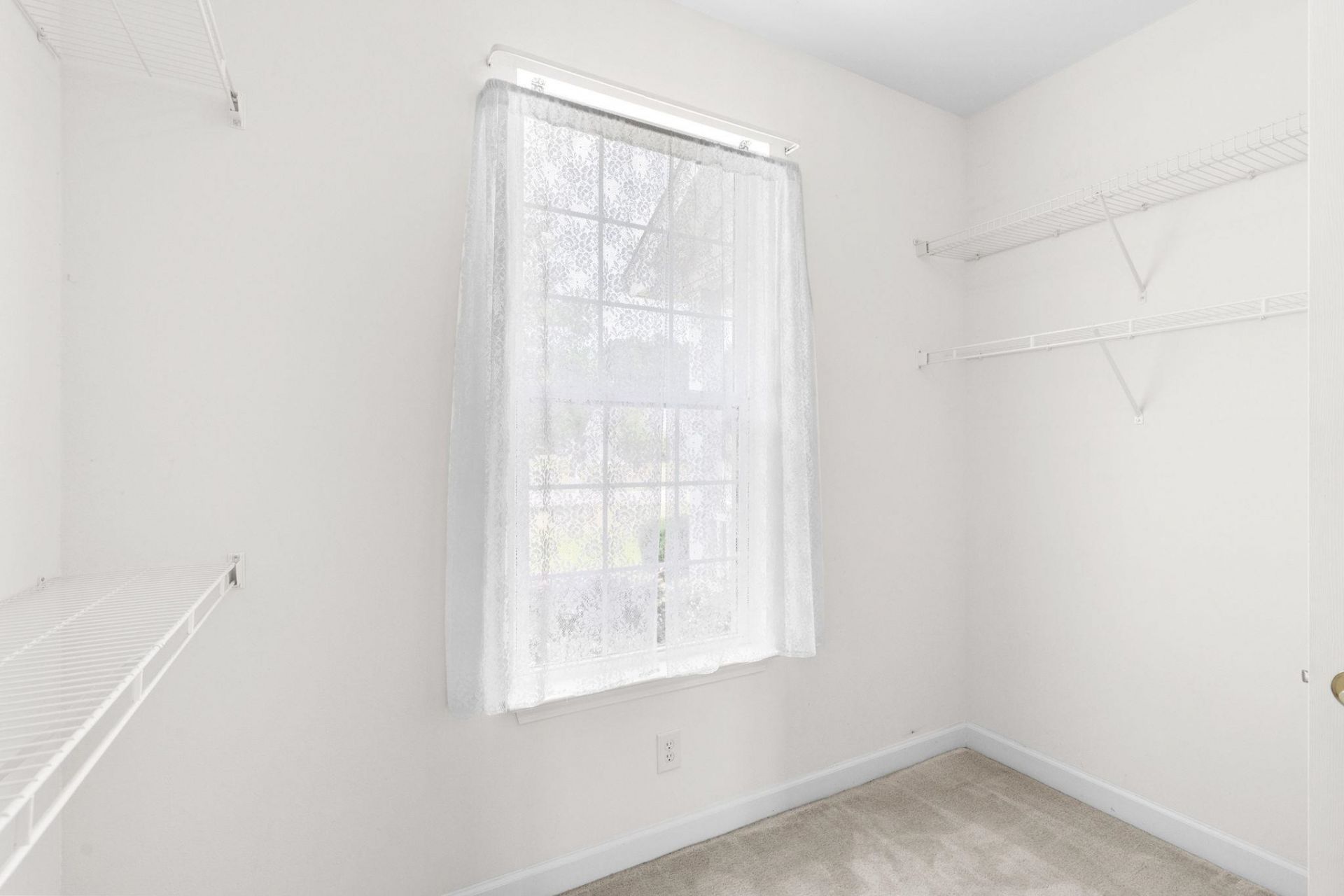 732 Gazania Ln.  Photo 39