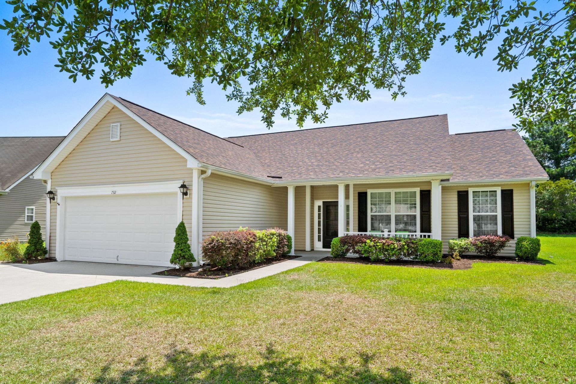 732 Gazania Ln.  Photo 4
