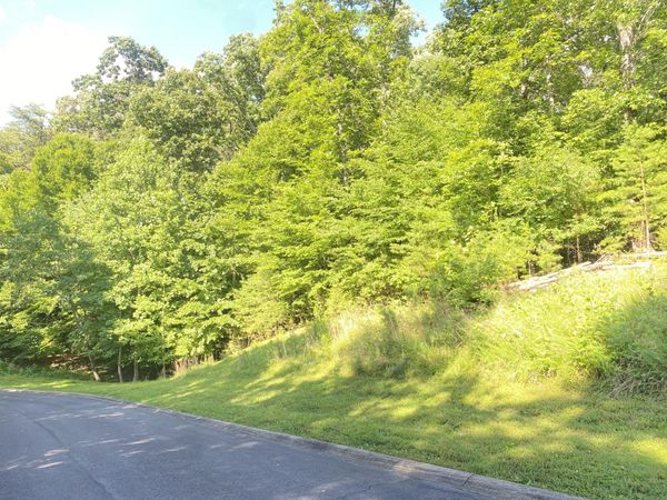 Lot 12 Cove Springs Drive, Dandridge, TN 37725