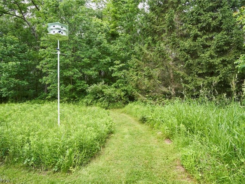 5046 Alger Road, Richfield, OH 44286 Photo 41