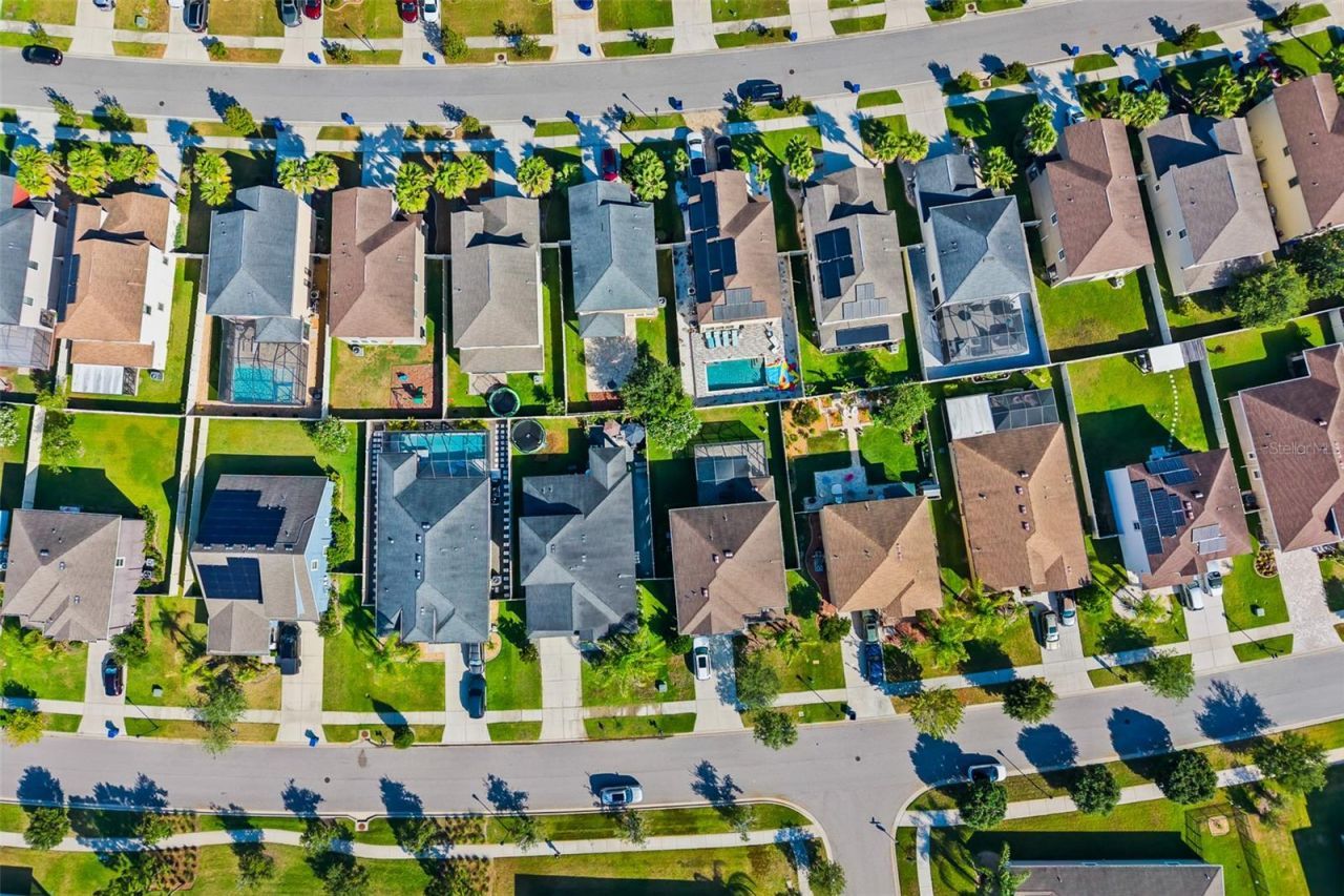 1571 Montgomery Bell Rd, Wesley Chapel, FL 33543 Photo