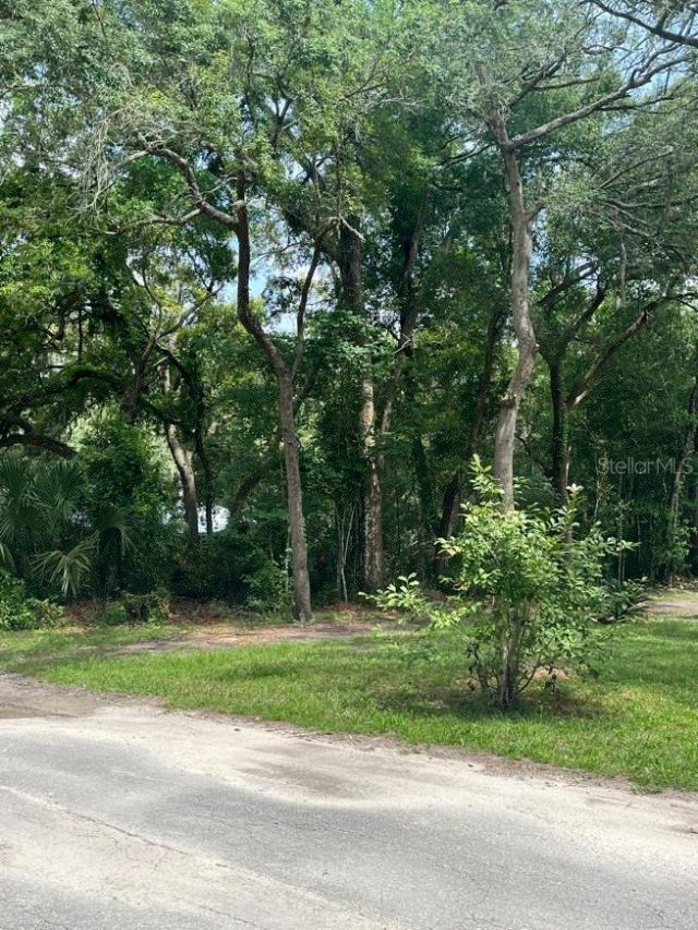 11012 NW 113th Place, Chiefland, FL 32626 Photo