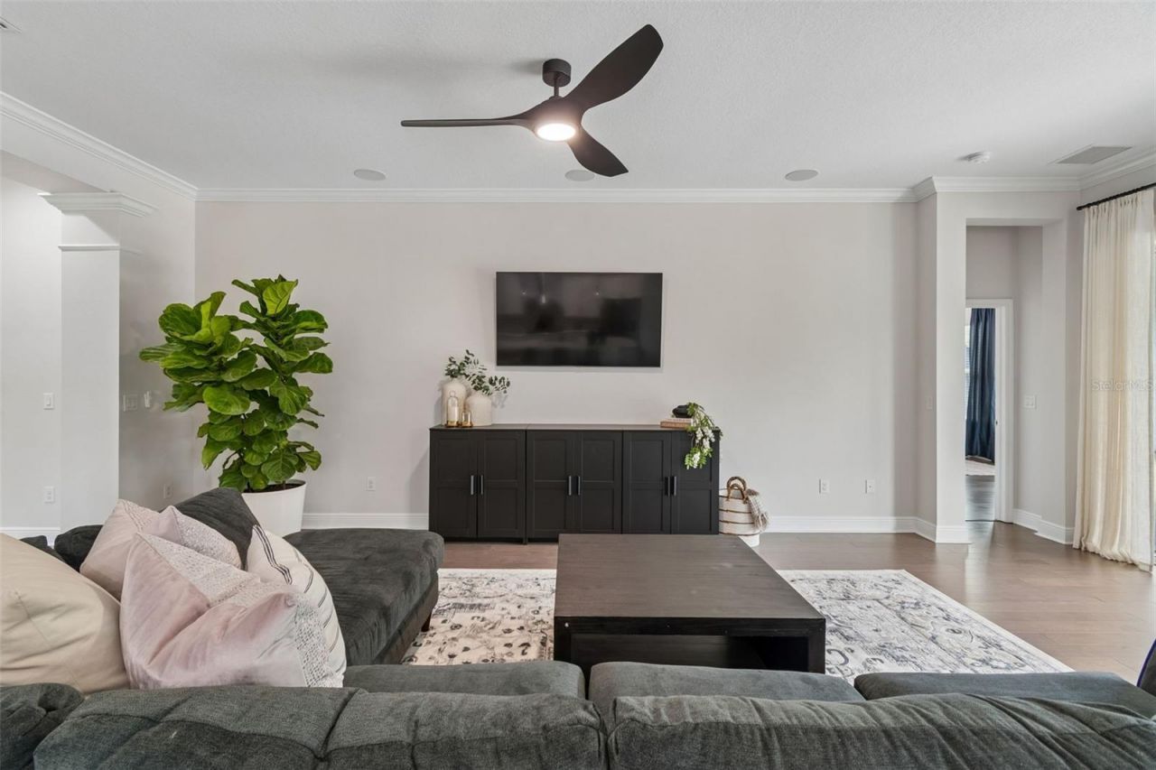 4000 Blue Lantana Lane , Land O Lakes, FL 34638 Photo