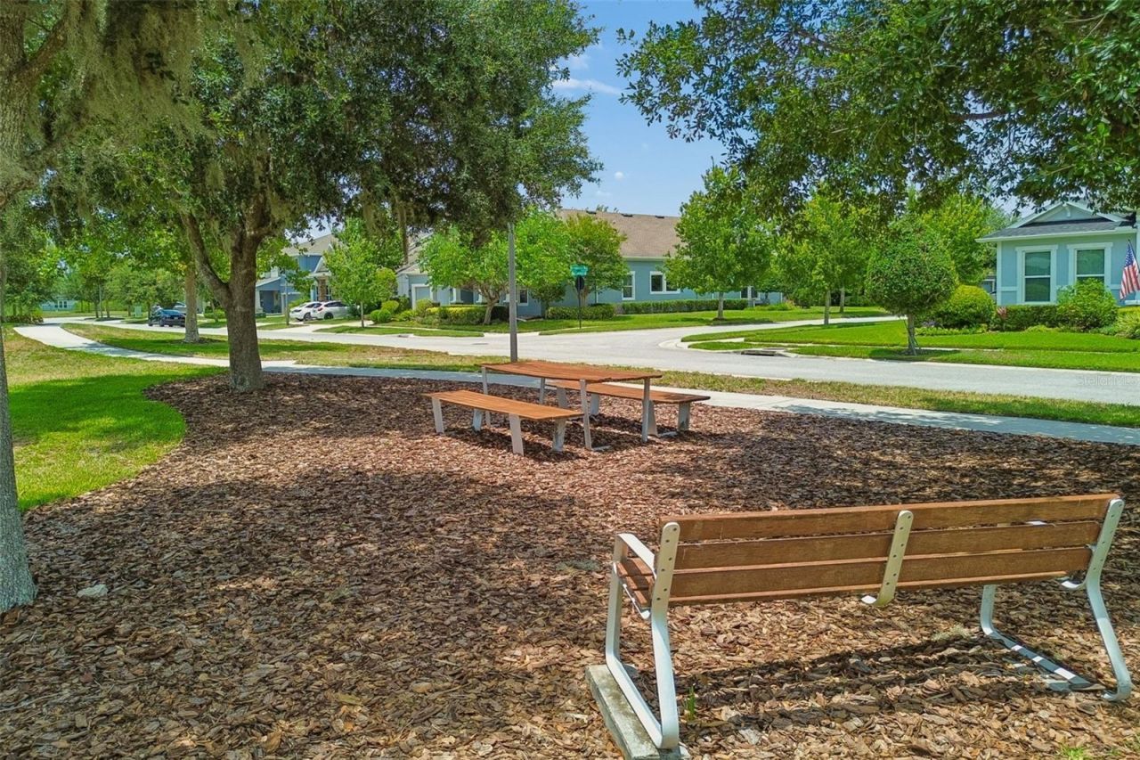4000 Blue Lantana Lane , Land O Lakes, FL 34638 Photo