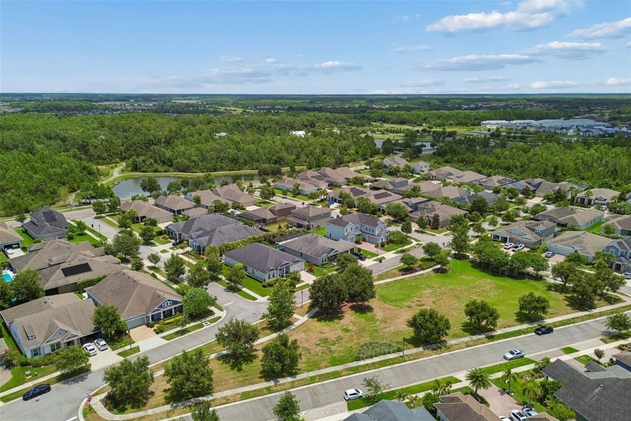 4000 Blue Lantana Lane , Land O Lakes, FL 34638 Photo