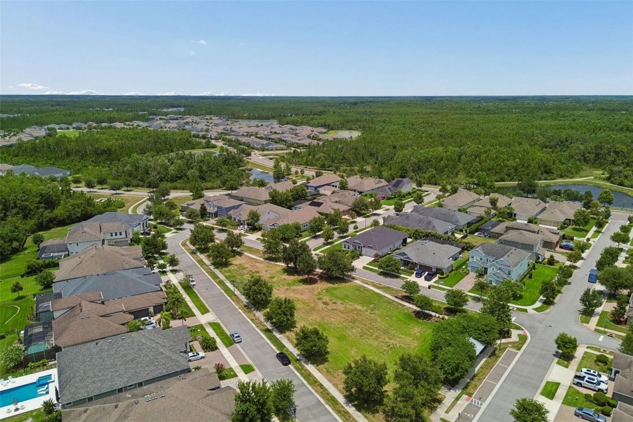 4000 Blue Lantana Lane , Land O Lakes, FL 34638 Photo