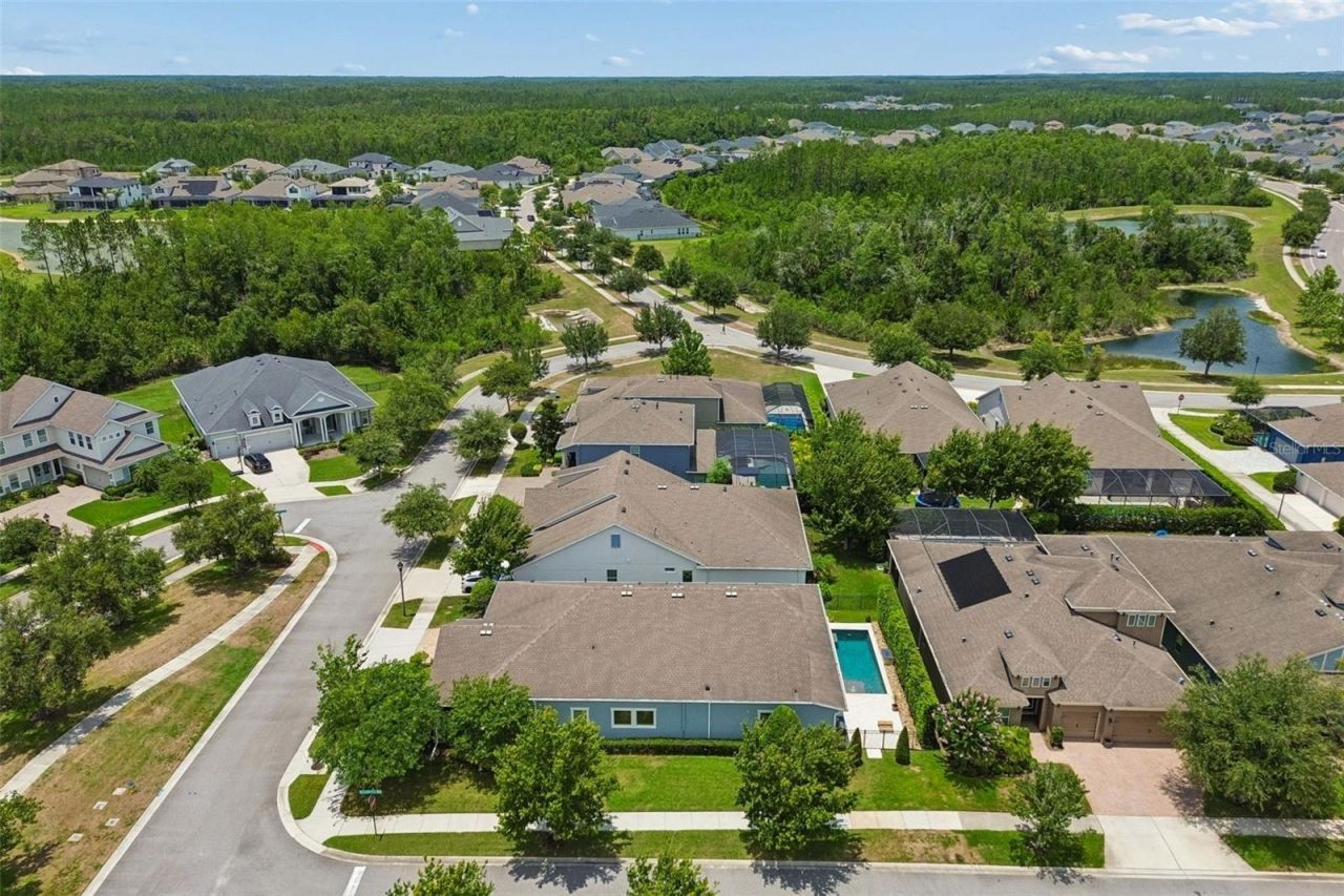 4000 Blue Lantana Lane , Land O Lakes, FL 34638 Photo